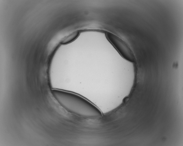 X0000113071464200910091156