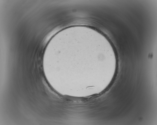 X0000113071465200910091156