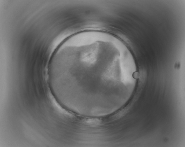 X0000113071466200910091155