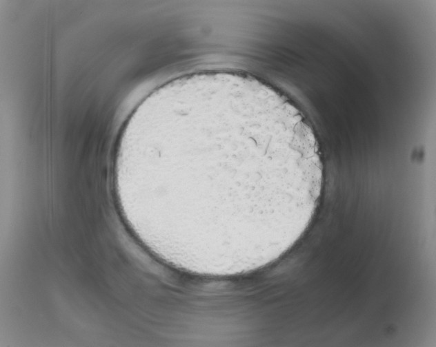 X0000113071467200910091155
