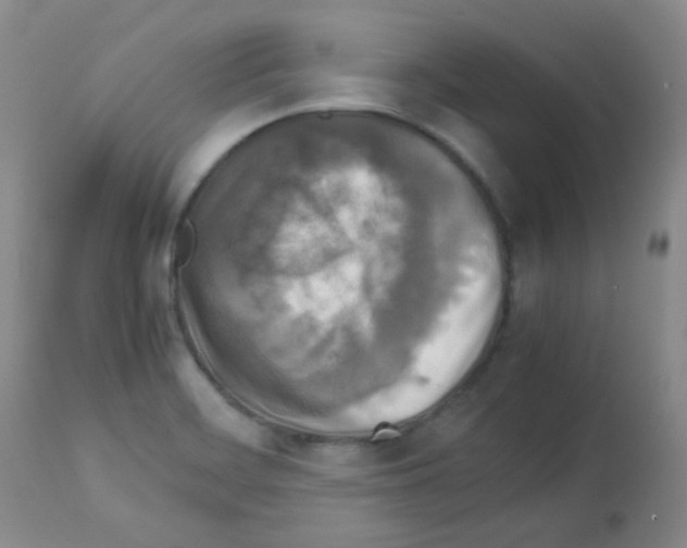 X0000113071468200910091155