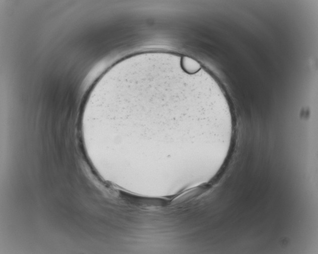X0000113071469200910091155
