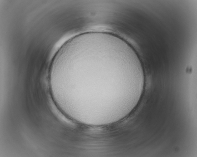 X0000113071470200910091155