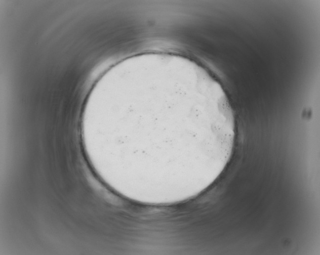 X0000113071471200910091155