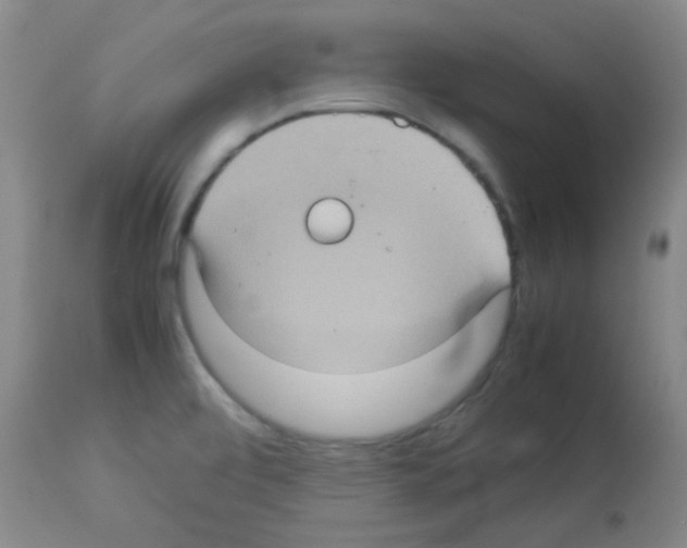 X0000113071472200910091155