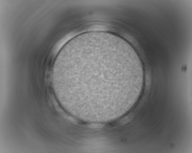 X0000113071473200910091155