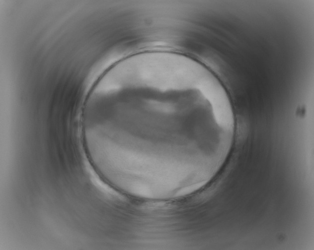X0000113071474200910091155