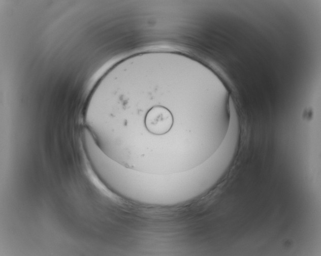 X0000113071476200910091155