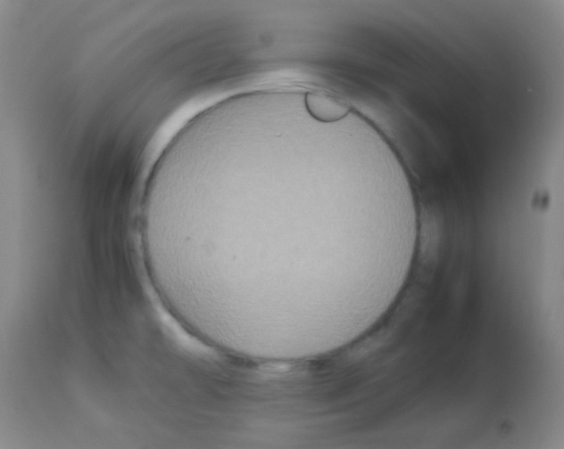 X0000113071478200910091155