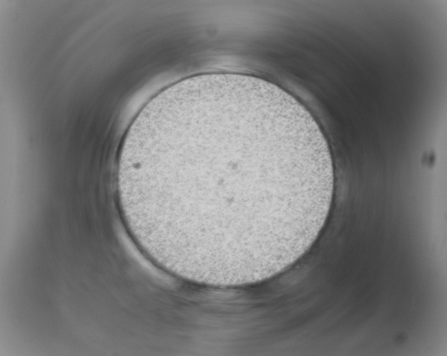 X0000113071479200910091155