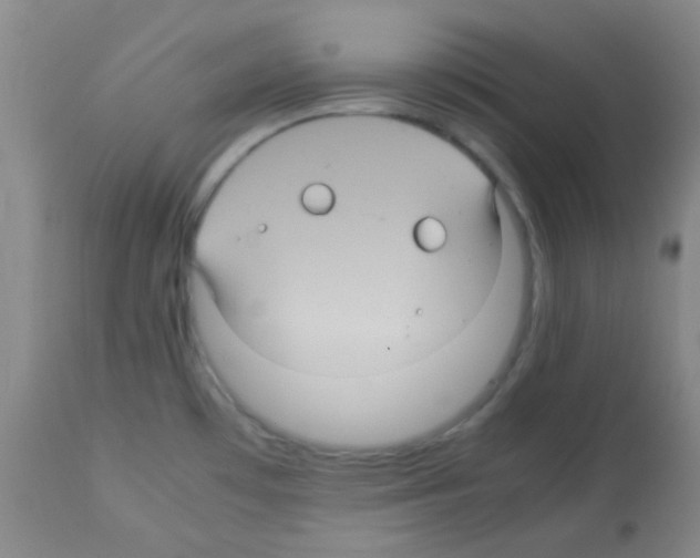 X0000113071481200910091155