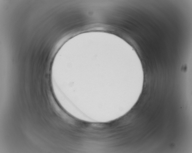X0000113071483200910091155