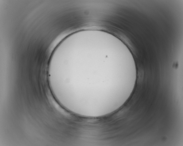 X0000113071484200910091155