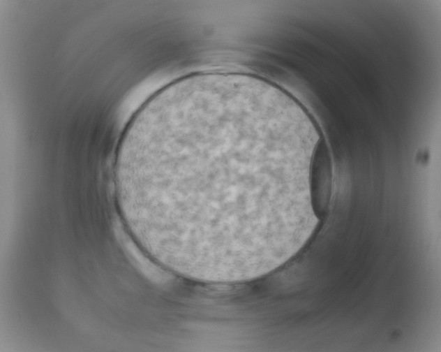 X0000113071485200910091155