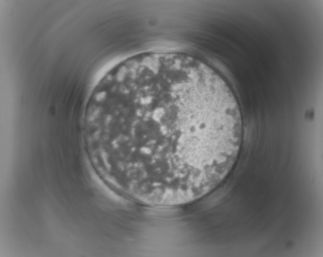 X0000113071487200910091155
