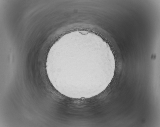X0000113071489200910091155