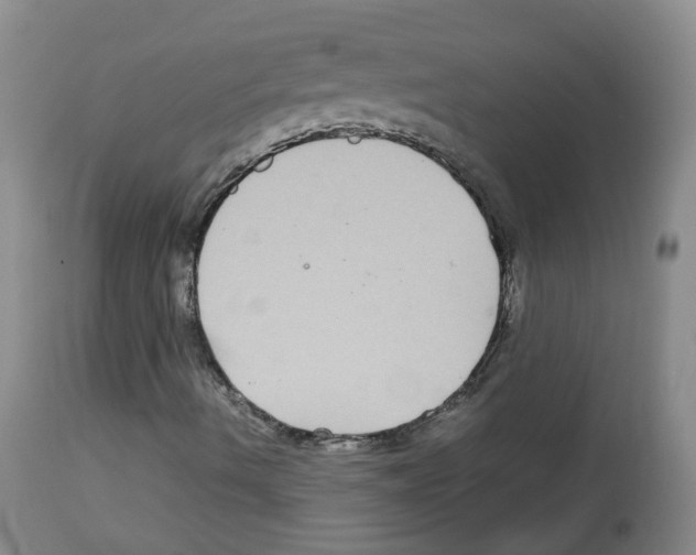 X0000113071490200910091155