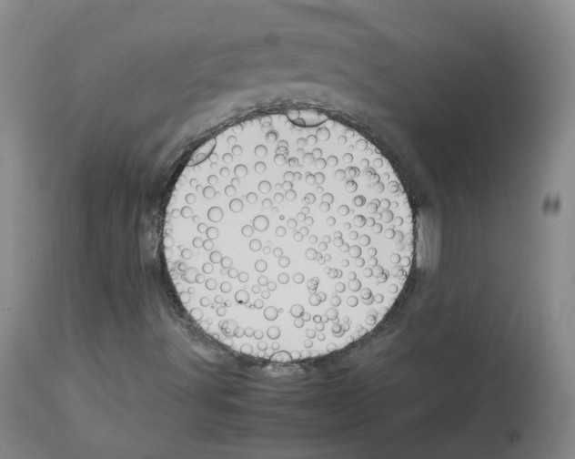 X0000113071491200910091155