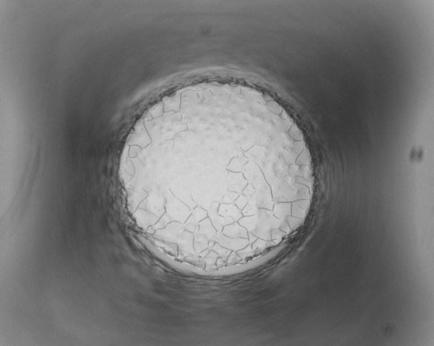 X0000113071494200910091155