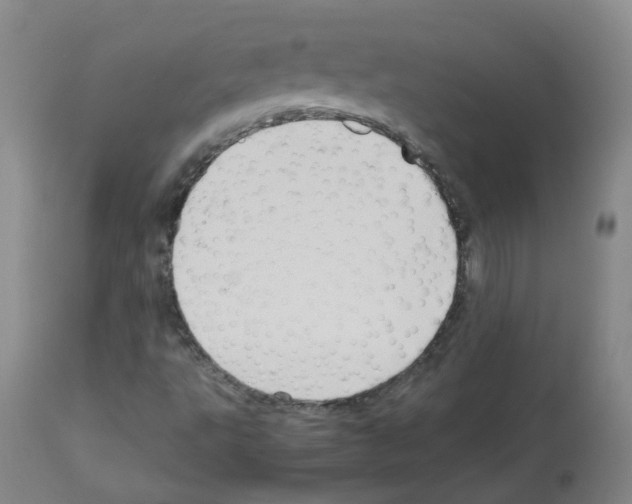 X0000113071495200910091155