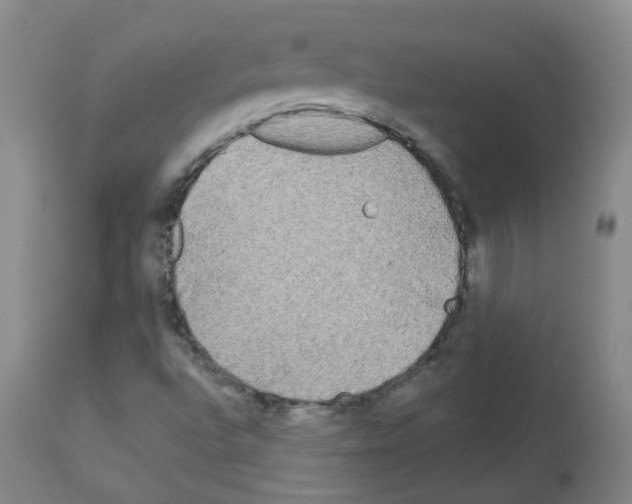 X0000113071496200910091155