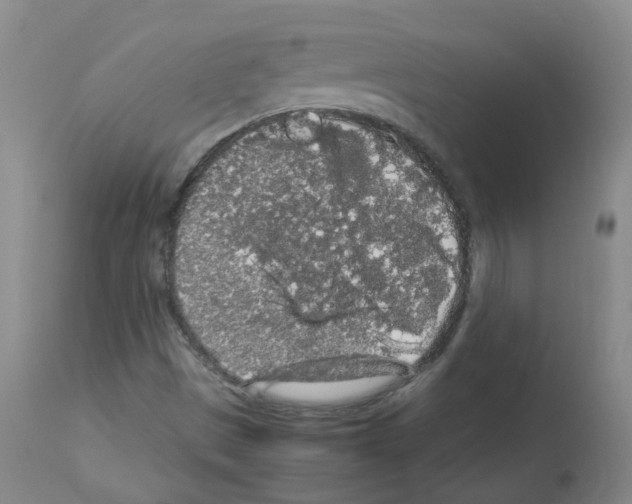 X0000113071497200910091155