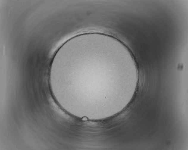 X0000113071500200910091155