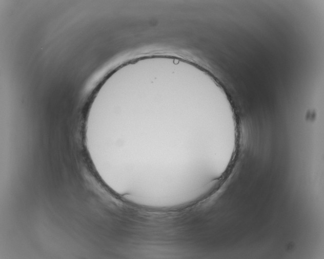 X0000113071502200910091155