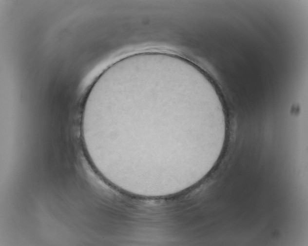 X0000113071504200910091155