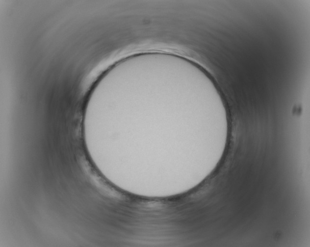 X0000113071507200910091155