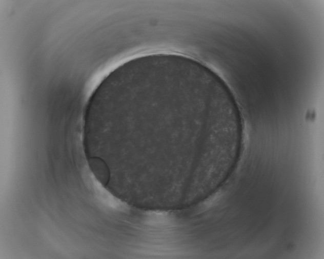 X0000113071508200910091155