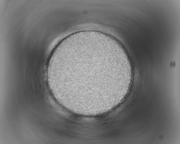 X0000113071509200910091155