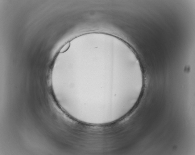 X0000113071510200910091155