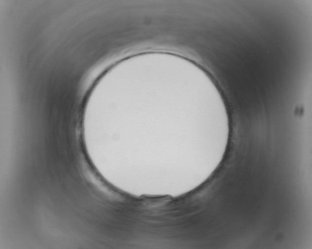 X0000113071511200910091155