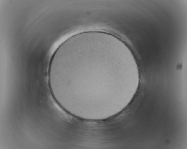 X0000113071512200910091155