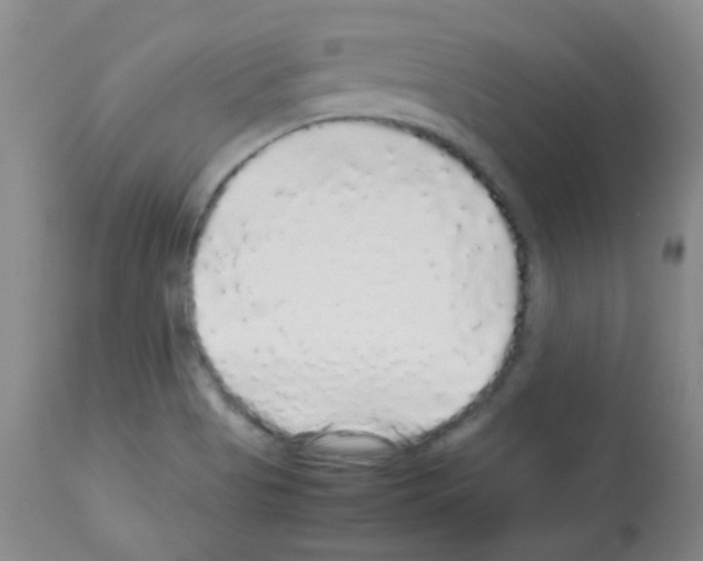 X0000113071513200910091155