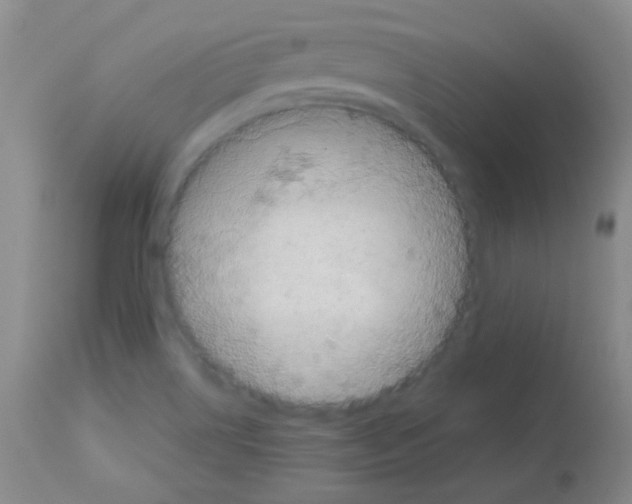 X0000113071514200910091155