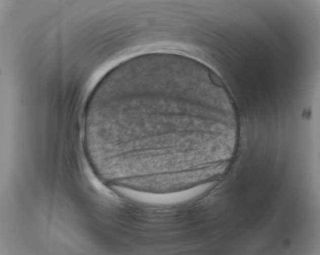 X0000113071515200910091155