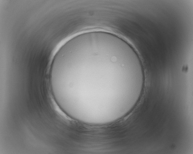 X0000113071516200910091155