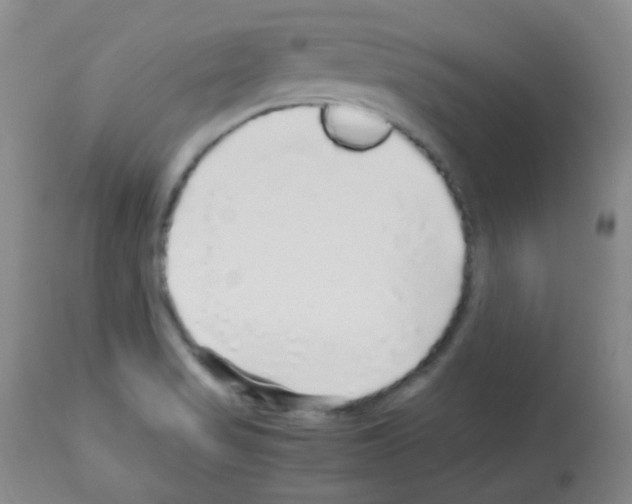 X0000113071517200910091155
