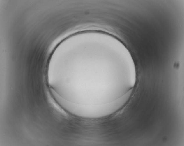 X0000113071518200910091155