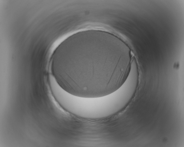 X0000113071520200910091155