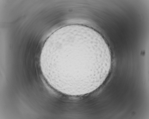 X0000113071521200910091155