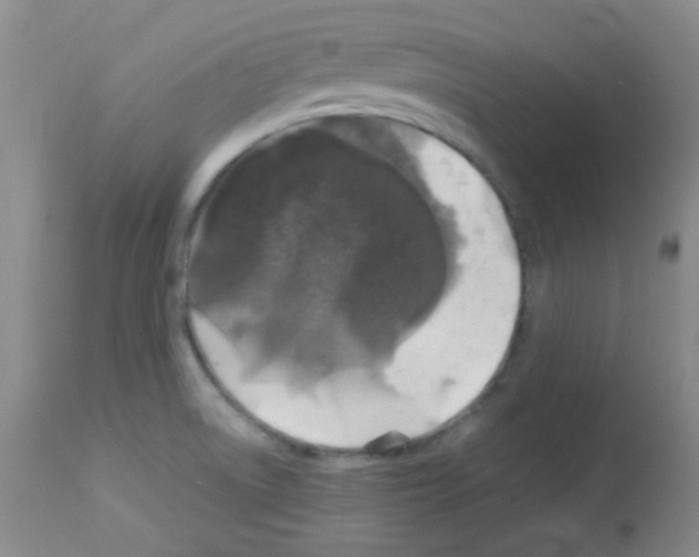 X0000113071522200910091155