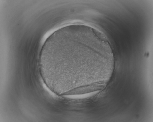 X0000113071527200910091155