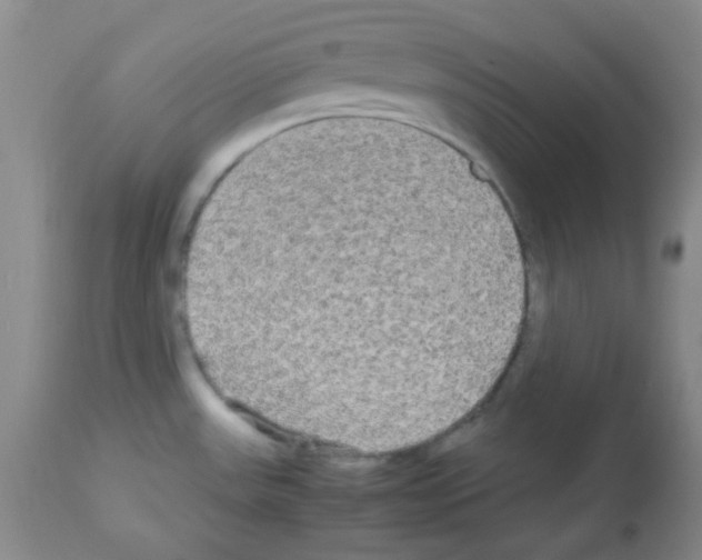 X0000113071531200910091155