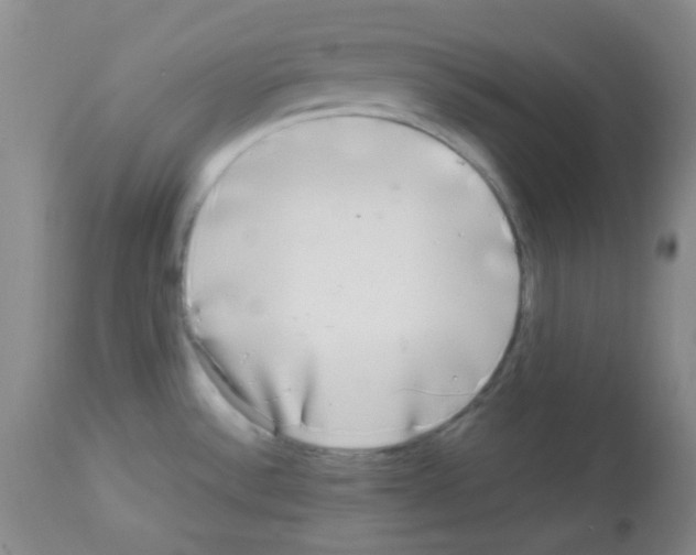 X0000113071532200910091155