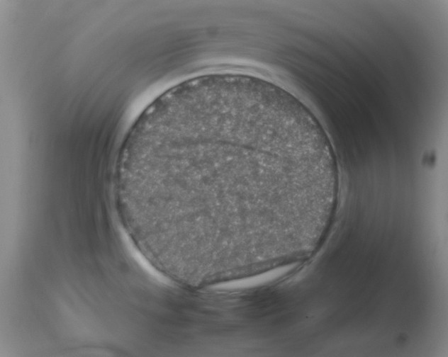 X0000113071533200910091155