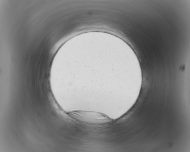 X0000113071534200910091155