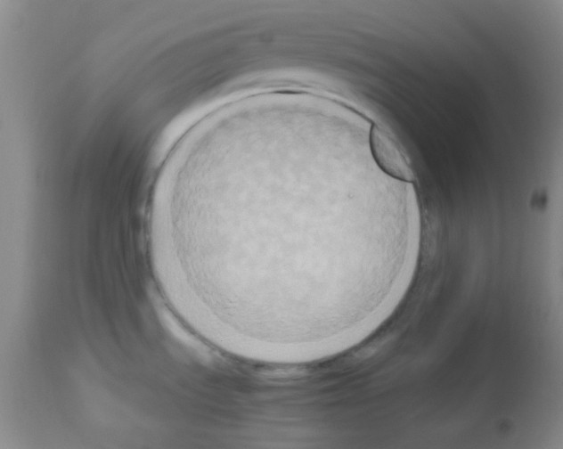 X0000113071535200910091155